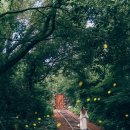 산양1리 이미지