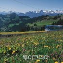 하이디알프스 이미지