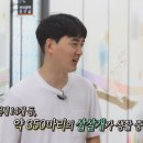 경산의 삽살개육종연구소 이미지