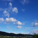 동경농장 이미지