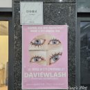 다뷰래쉬 이미지