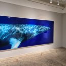 닻미술관 | 초월 닻미술관 방문 후기 | 자연 속 힐링 전시, 가족 나들이 추천!