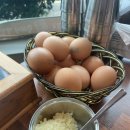 모이세해장국모슬포점 | 제주 서귀포 모이세해장국 모슬포점 내돈내산 후기