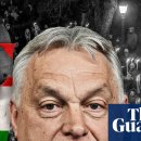 Being Fore 이미지