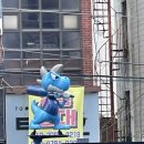 쎄리플러스 네이버블로그