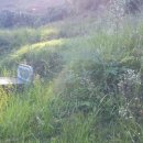 월곡2리 이미지