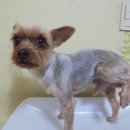 곡란중학교 이미지