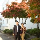 마성중학교 이미지