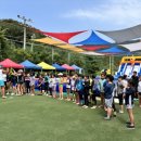 용인대태양체육관 이미지