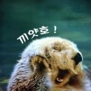 고고점핑 이미지
