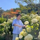 투티코티지