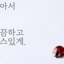 부부여행사 이미지