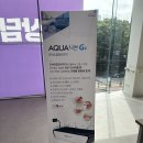 아쿠아데이 | 노원/중계/월계 데이케어센터 추천: 아쿠아베드 설치