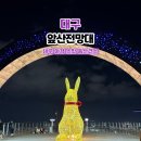 앞산강아지 | 대구야경 명소 추천｜앞산전망대 야간 산책 &amp; 안일사 등산코스 소요시간 후기