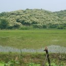 농협소태 이미지