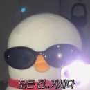 여행톡톡