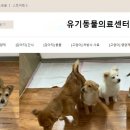 박동물병원 이미지