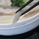 부산까치놀 이미지