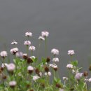 추산경로당 이미지