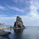 울릉벚꽃 이미지