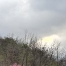 고요한 아침 | 고요한 아침