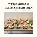 연수초등학교 | 크리스마스 연말특강 원예테라피 🌿 마음이 따뜻해지는 힐링 원예 클래스 테라리움 출강 후기