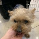 부천원미동우체국 이미지