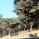 한계미선생묘 및 신도비 이미지