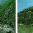 알프스산장여관 이미지