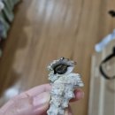 티타스 짐 | 괌 5일째) 마지막 날. 괌 4박 5일 여행 경비는? 투몬에서 공항 가는 법, 면세점 할인 skt 멤버십 바코드...