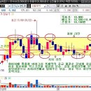 [주식] 02월 22일(금) 박스권 기법 공략! - 서울제약 이미지