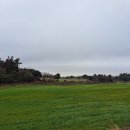 신망목장 이미지