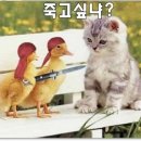 포토월드 이미지