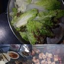 써니팜