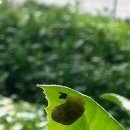 명월농장 이미지