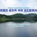 부여 서울농장 | (23.9.16-9.17) 여름의 끝자락 부여 포도밭에서@부여서울농장1