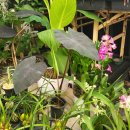 자명농장 이미지