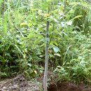 명동농장 이미지