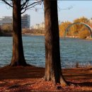 새롬초등학교 이미지