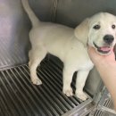 광산구-119 이미지