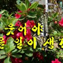 웃어야 웃을 일 이미지