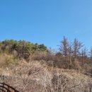 묵현로11-61 네이버블로그