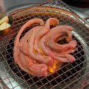 높은집 티스토리
