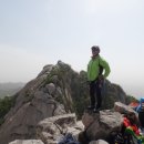 비둘기모사 이미지