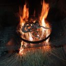 기장꼼장어 이미지