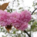 장항체육공원 이미지