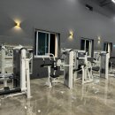 헬스 달리아 이미지