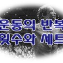코코짐 이미지