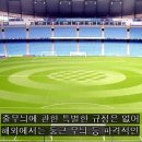 잔디색