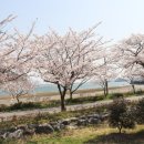 기업3호공원화장실 이미지